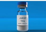 ˽ϸ(KGF-2)