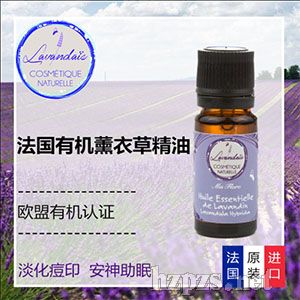 Lavandaisĵ˹ڵ