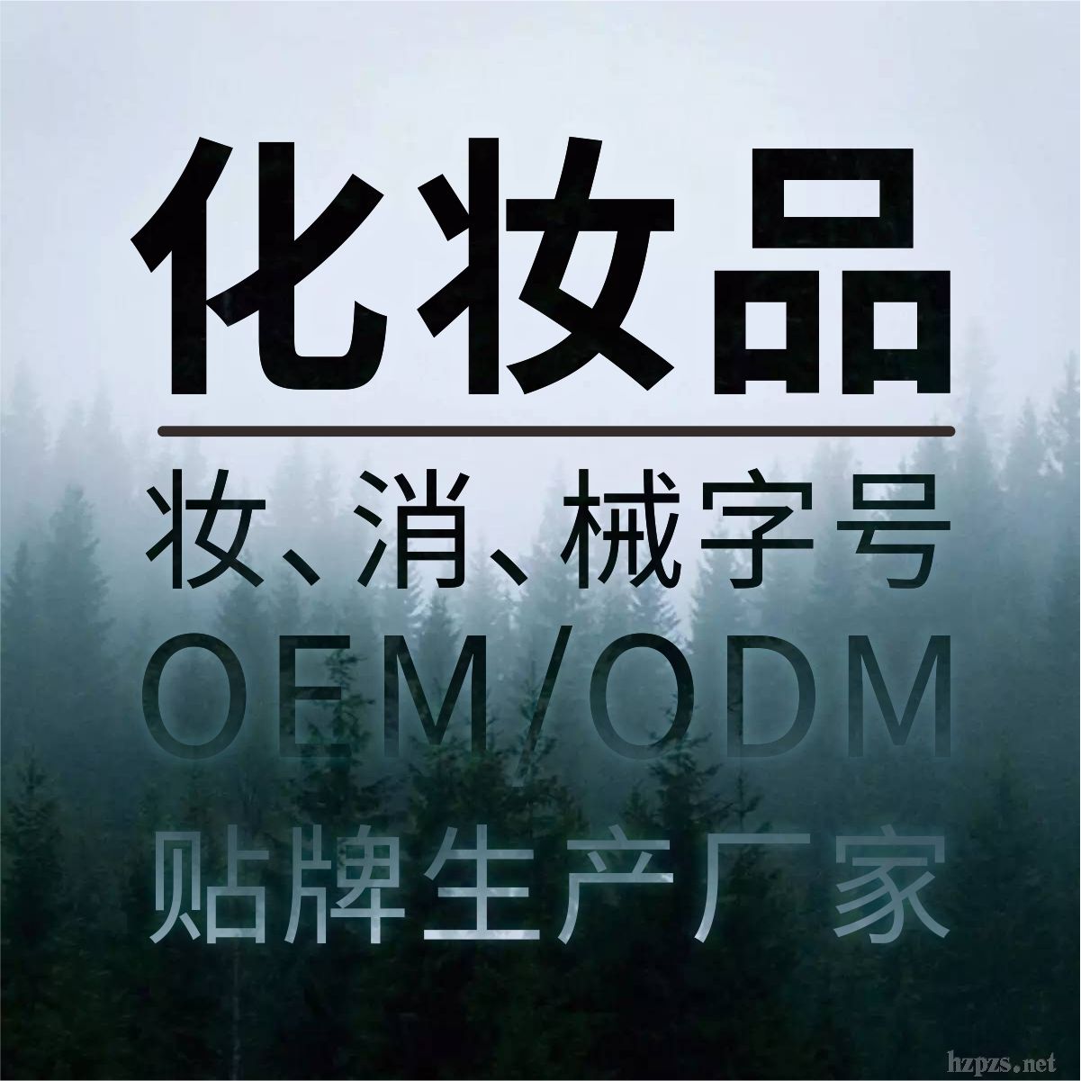 ױƷOEM